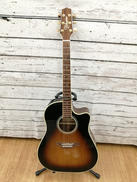 エレアコ|TAKAMINE