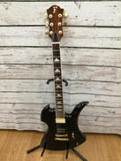 エレキギター|FERNANDES