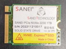 M.2 SSD|SANEI
