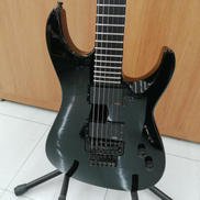 その他ボディタイプ|ESP