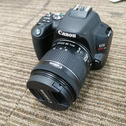 デジタル一眼レフ|CANON