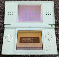 DS LITE