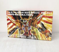 ＨＧ　1/144　ハイネ専用デスティニーガンダム|SONY