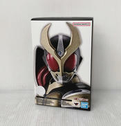 S.H.FIGUARTS (真骨彫製法) 仮面ライダーアギト|BANDAI