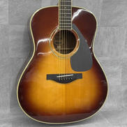 アコースティックギター|YAMAHA