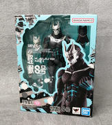S.H.FIGUARTS|BANDAI