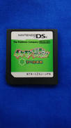 ニンテンドーDSソフト
