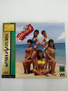 セガサターンソフト|やのまん