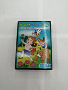 SEGA MARK3用ソフト|SEGA