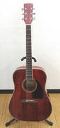 アコースティックギター|IBANEZ