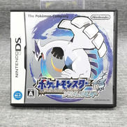 DSソフト|NINTENDO