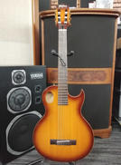 エレガットギター|WASHBURN