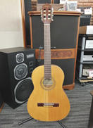 クラシック|ORTEGA