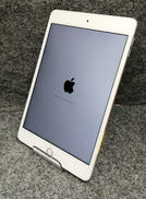 IPAD MINI4|APPLE