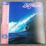 型番:WPJL-10259|SONY