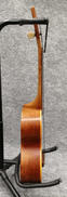imgMap['COMMENT']}