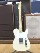 テレキャスタータイプ|KING SNAKE