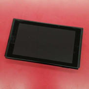 NINTENDO SWITCH|NINTENDO