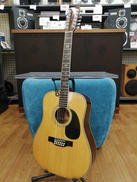 12弦アコースティックギター|MORRIS