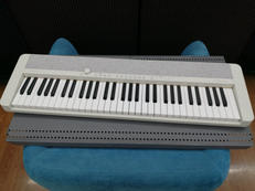 ファミリーキーボード|CASIO