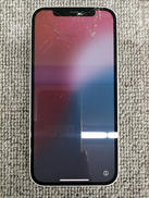 au iPhone12|APPLE/AU