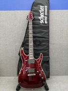 その他ボディタイプ|SCHECTER
