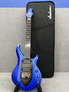 その他ボディタイプ|MUSICMAN