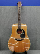 アコースティックギター|CATSEYES