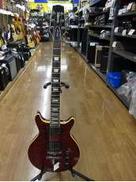 その他ボディタイプ|HAMER