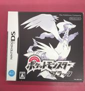 DSソフト|NINTENDO / 任天堂