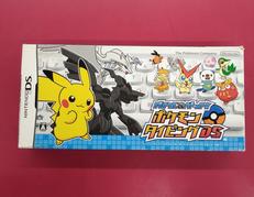 DSソフト|NINTENDO