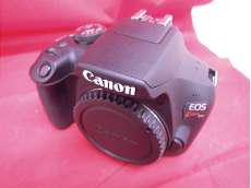 デジタル一眼レフ|CANON