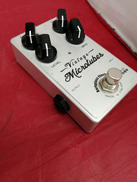 エフェクター|DARK GLASS ELECTRONICS