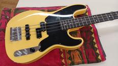 エレキベース|SCHECTER