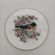 鳥絵皿|ROYAL WORCESTER