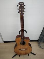アコースティックギター|MORRIS