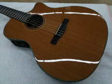 エレガット|FENDER