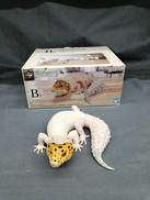 一番くじ爬虫類&両生類|BANDAI