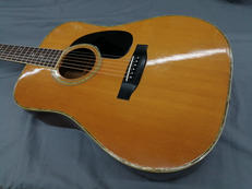 アコースティックギター|MORRIS