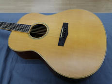 アコースティックギター|IBANEZ