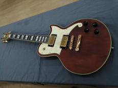 エレキギター|D’ANGELICO