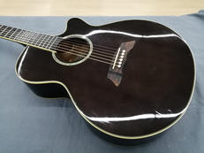 エレアコ|TAKAMINE