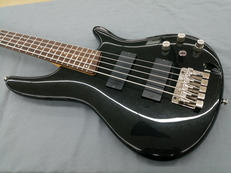 5弦ベース|IBANEZ