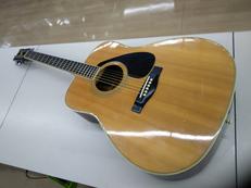 アコースティックギター|YAMAHA