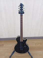 エレキギター|GRASSROOTS