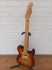 エレキギター|SCHECTER