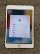 iPad mini / 第4世代 128GB|APPLE