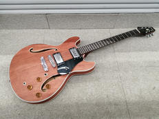 その他ボディタイプ|ARIA PROⅡ