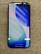 APPLE / iPhone15 Pro(MTUC3J/A)|APPLE