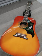 エレアコ|EPIPHONE